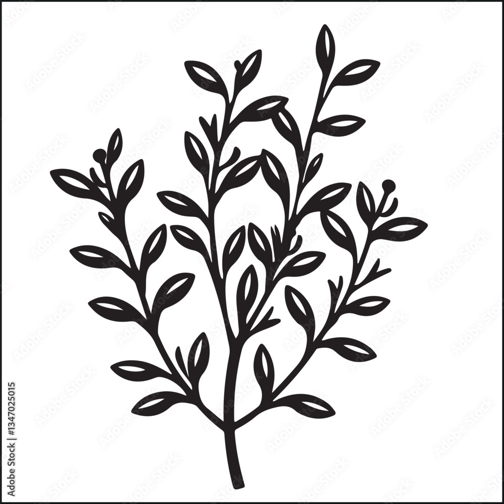 Thyme Herb black silhouette Thyme Herb black silhouette