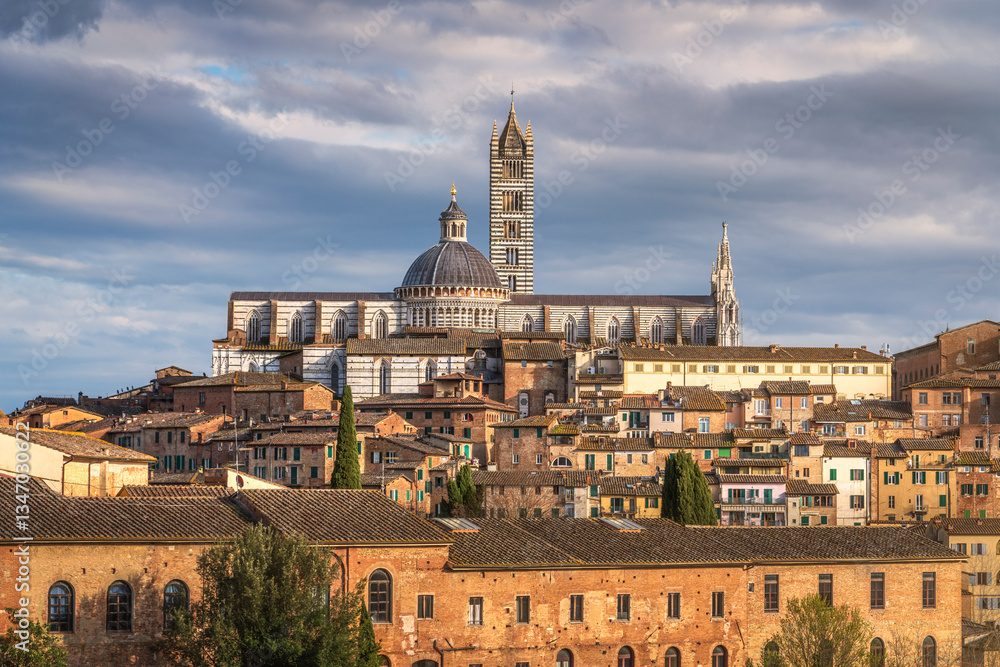 Obraz premium Siena city skyline. On the top the Cathedral or Duomo. Tuscany, Italy