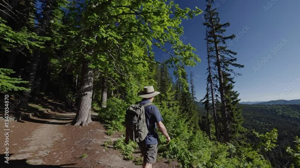 Middle-aged Caucasian Man Hiking Through a Lush Forest Trail in Bright Daylight Surrounded by Tall Green Trees and Clear Blue Sky Middle-aged Caucasian Man Hiking Through a Lush Forest Trail in Bright Daylight Surrounded by Tall Green Trees and Clear Blue Sky
