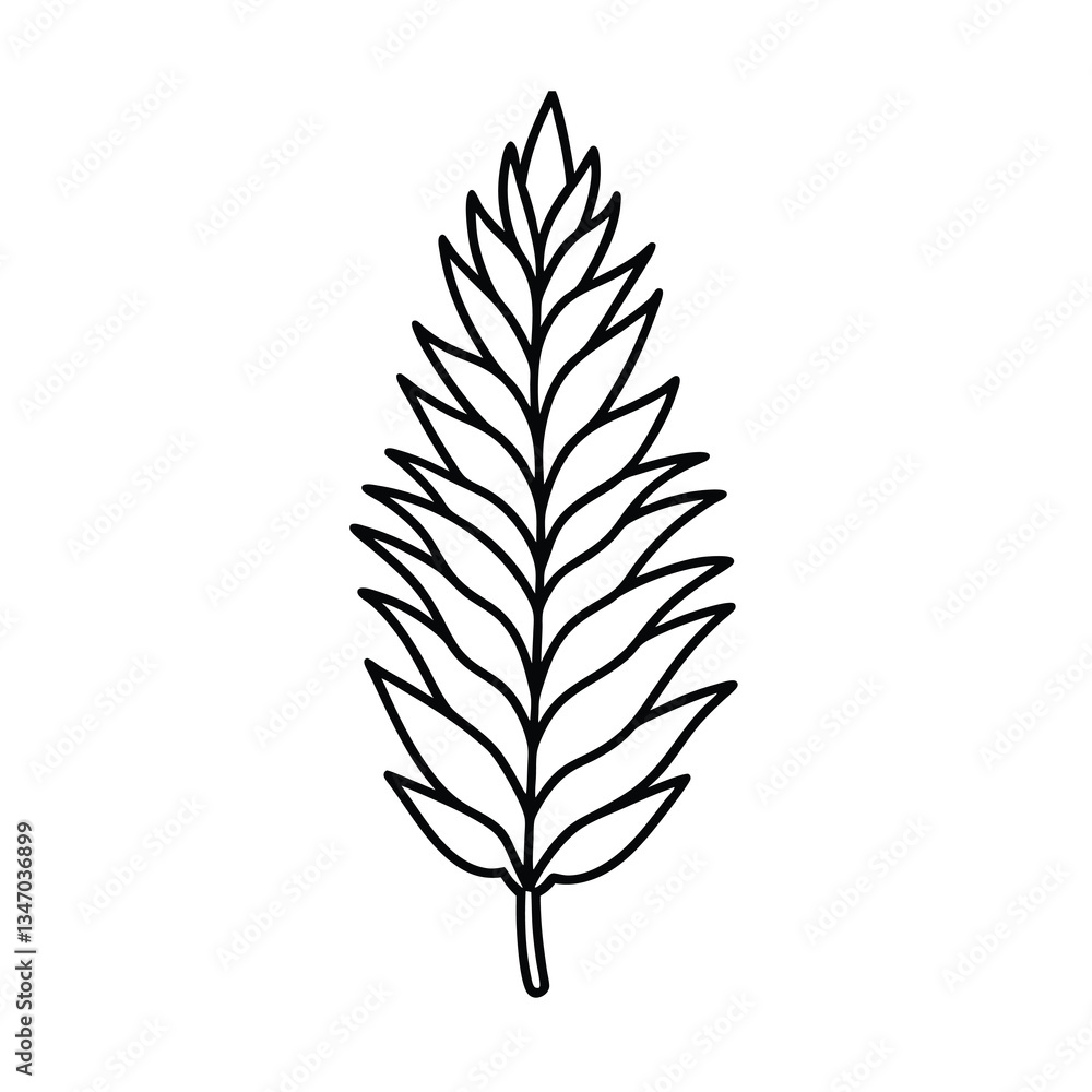 vector silhouette of a leaf vector silhouette of a leaf