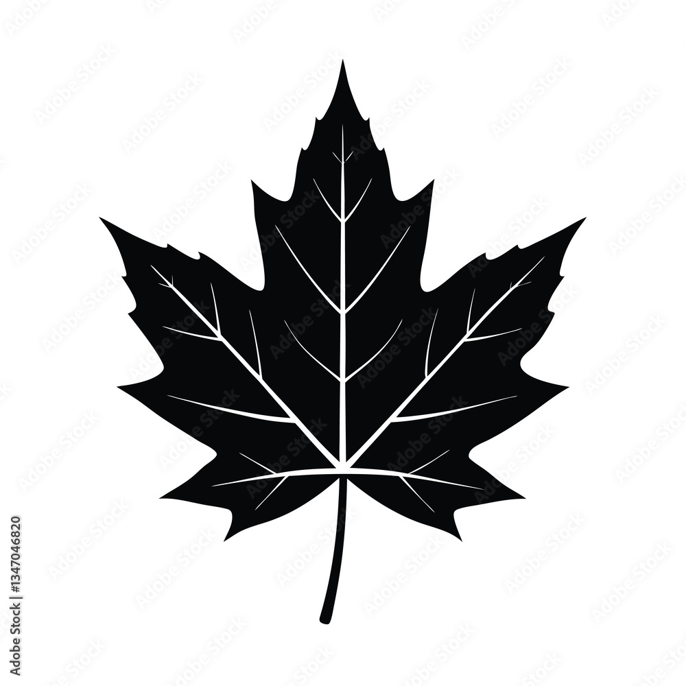 Fototapeta premium autumn maple leaf