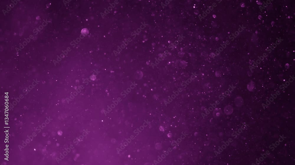 Sparkling Background of the pink and purple on the Dark Black 4k Sparkling Background of the pink and purple on the Dark Black 4k