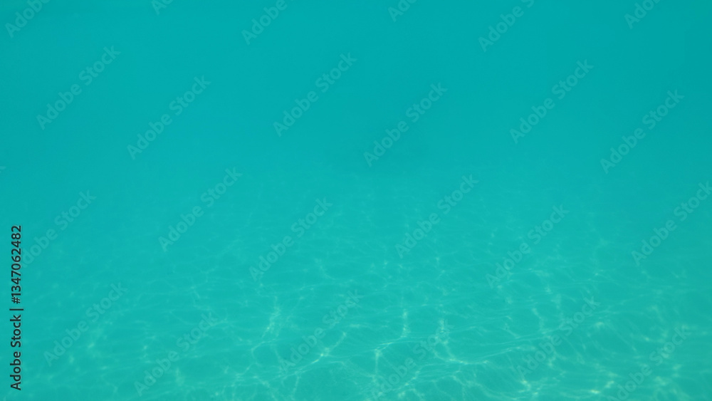 Sunlight filtering through clear turquoise water creates mesmerizing ripples on the surface, while illuminating the sandy bottom and enhancing the tranquil underwater scene