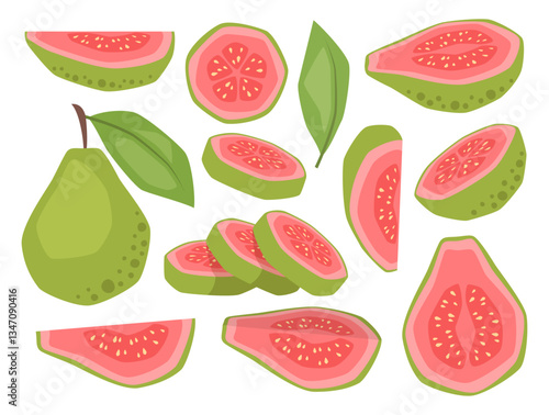 Vector isolated set of guavas, whole, half and slices