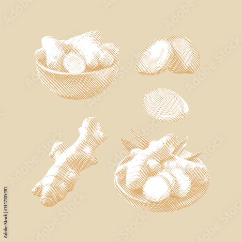 Illustration of ginger placed on a beige background.