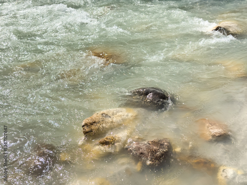 Obraz premium fast-flowing river water rushing over huge stones. movement and energy concept. living water. crystal-clear mountain river. water movement