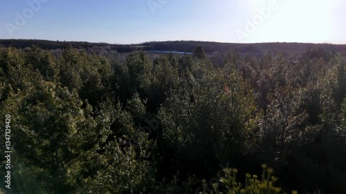 A peaceful afternoon unfolds as the camera glides over a dense forest filled with evergreen trees. The sunlight casts a warm glow, highlighting the vibrant greenery and distant hills.