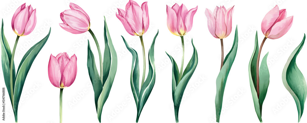 Hand-painted set isolated on white background vector illustration. Hand-painted Hand-painted set isolated on white background vector illustration. Hand-painted