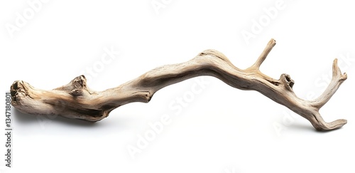 Beautiful branch of driftwood, isolated on a white background