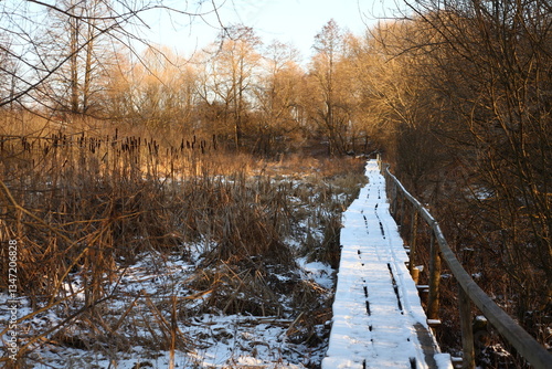 gloomy autumn landscape. wooden bridge under the small forest river