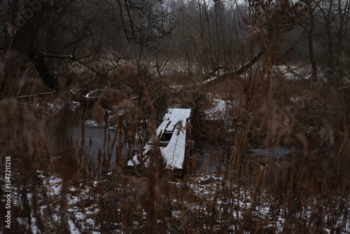gloomy autumn landscape. wooden bridge under the small forest river
