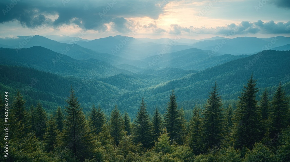 Fototapeta premium Majestic sunset over vast, layered mountain range with lush evergreen forest in foreground.