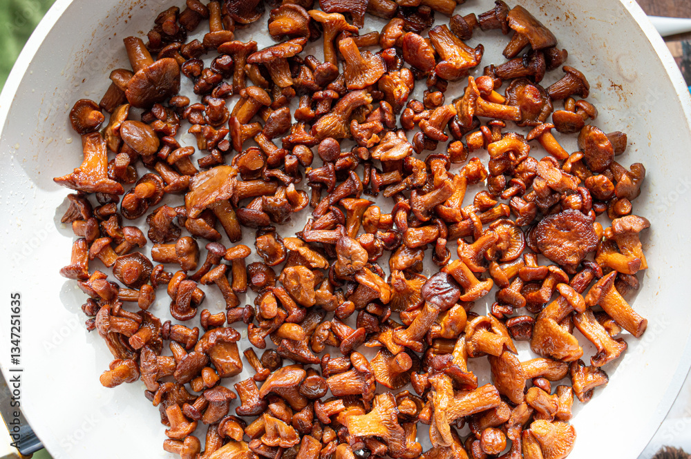 Obraz premium golden chanterelle mushrooms fried in oil. The mushrooms are laid out in a pan in the plane of the picture from above. Beautiful mushrooms brown or orange in a pan cooked in oil. High quality photo