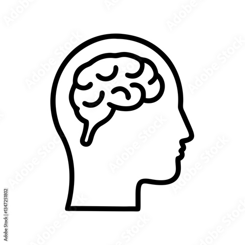 brain