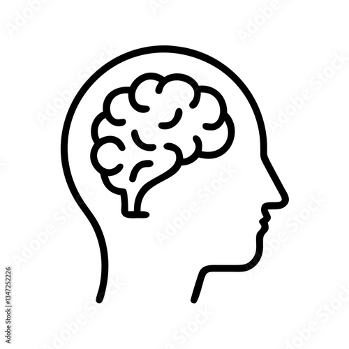 brain