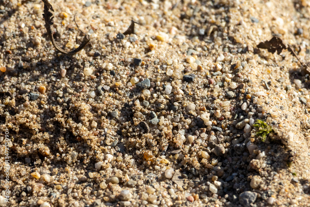 The texture of the sand The texture of the sand