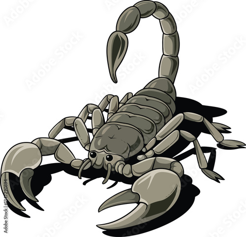 Cute cartoon scorpion on white background