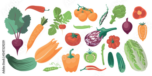 Vegetarian diet food. Vegetables in the flat style. A large set of beautiful vector vegetables