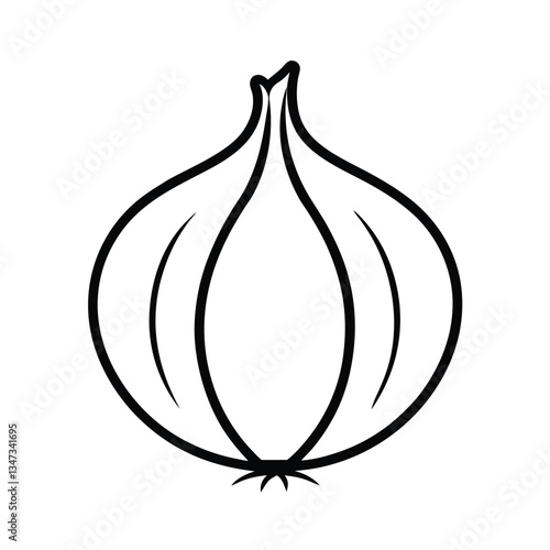 vector illustration of onion