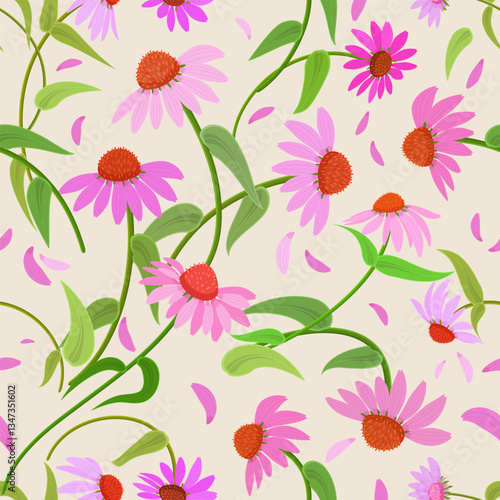 Wallpaper Mural seamless texture of purple coneflowers plants. blooming echinacea purpurea flowers. Torontodigital.ca