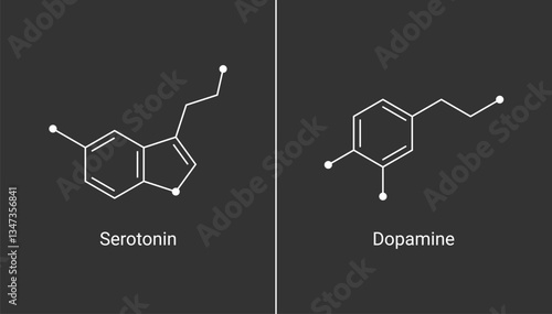 Serotonin, Dopamine Chemical Structures illustration. Neurotransmitter molecular formula vector. 