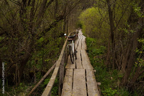 beautiful spring view.A vintage bicycle stands on an old wooden bridge above a swamp in the forest 