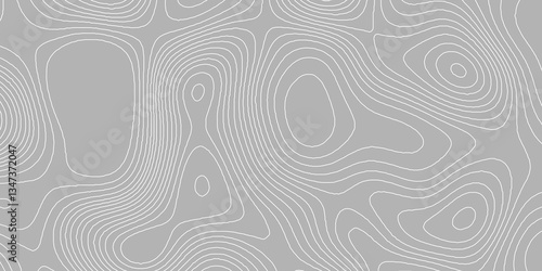 Wallpaper Mural Terrain map topographic contours trail geographical mountain grid abstract cartography grey background, white lines wavy pattern topography and geography map grid seamless pattern abstract backdrop. Torontodigital.ca