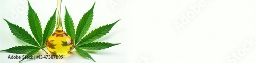 Isolated marijuana leaves and cannabis oil in a clear solution on a white background, marijuana, cannabis oil