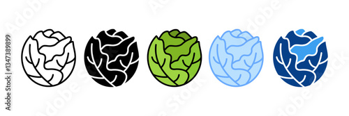 Cabbage  Icon Set Multiple Style Collection