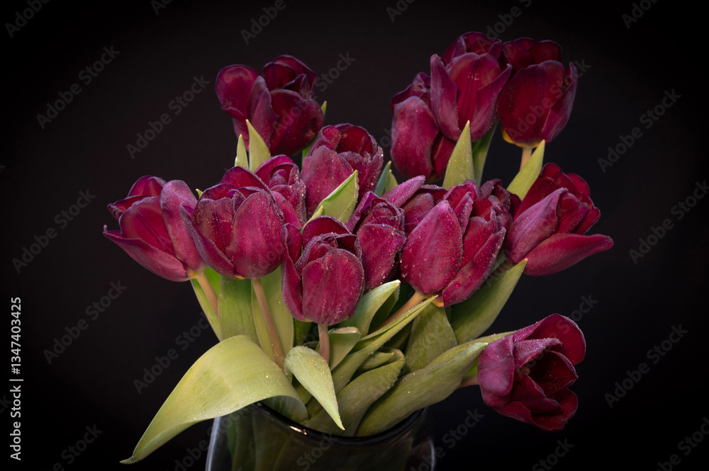 bouquet of tulips