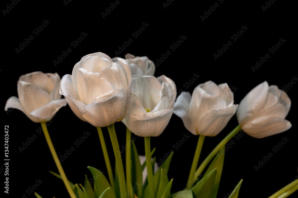 bouquet of tulips