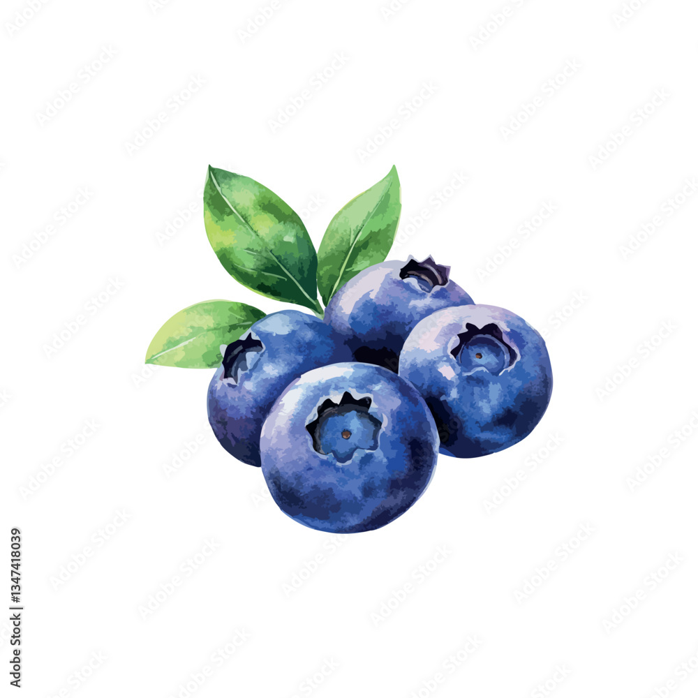 Blueberry with a leaf on top. There are three blueberries on the leaf. Blueberry with a leaf on top. There are three blueberries on the leaf.