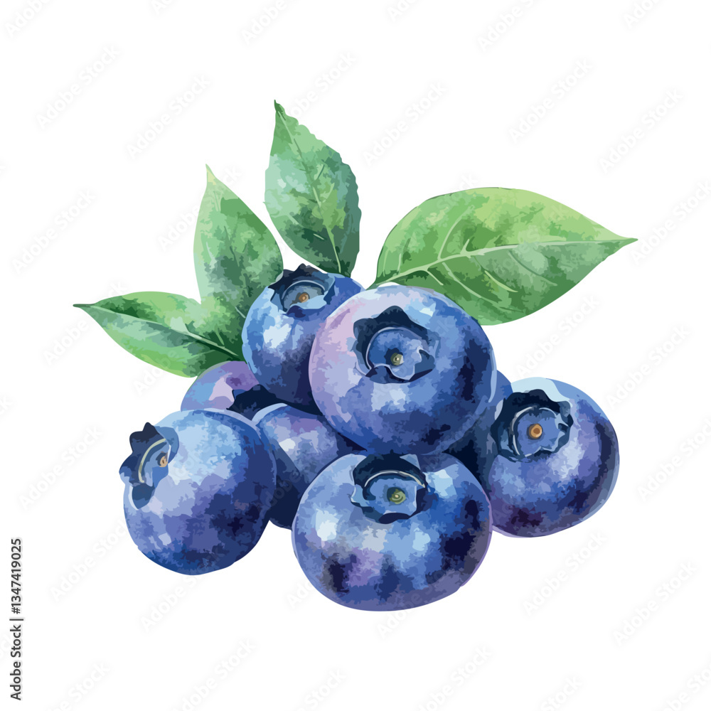 Fototapeta premium Bunch of blueberries with green leaves. There are six blueberries in total. The leaves are green.
