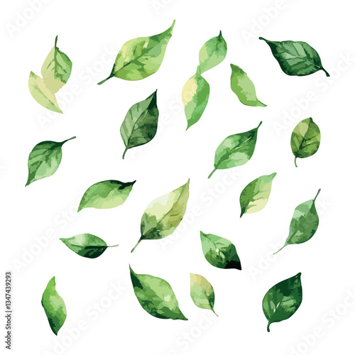 Bunch of green leaves are scattered across a white background. The leaves are of various sizes.