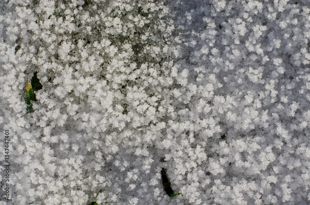 Frozen ice crystals on grass in winter