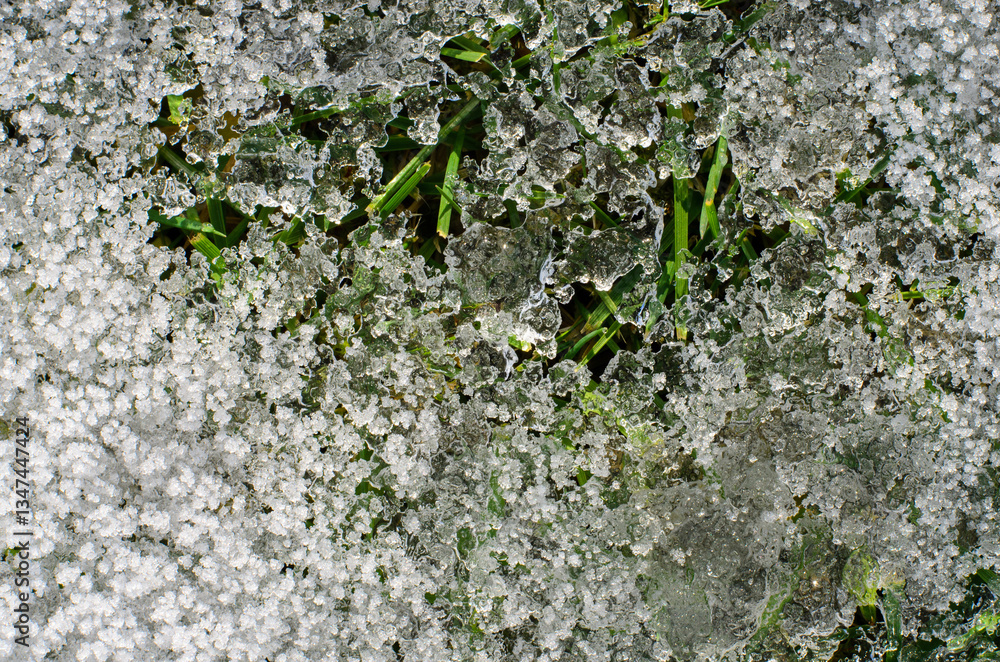 Frozen ice crystals on grass in winter