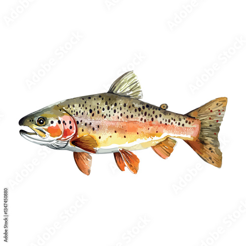 Fish with a brown and orange color. It is a rainbow trout. The fish is swimming in the water.