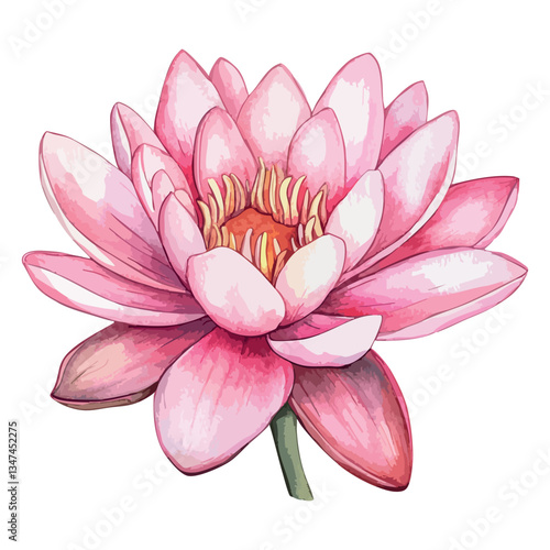 Beautiful pink flower with a slender stem is the main focus of the image.