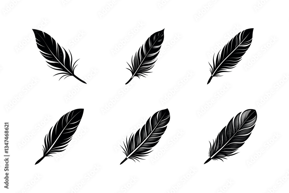 High Quality Feather Element Vector Set
High Quality Feather Element Vector Set