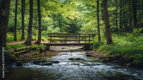 Wallpaper Mural Scenic wooden bridge over flowing stream amidst lush green forest scenery Torontodigital.ca