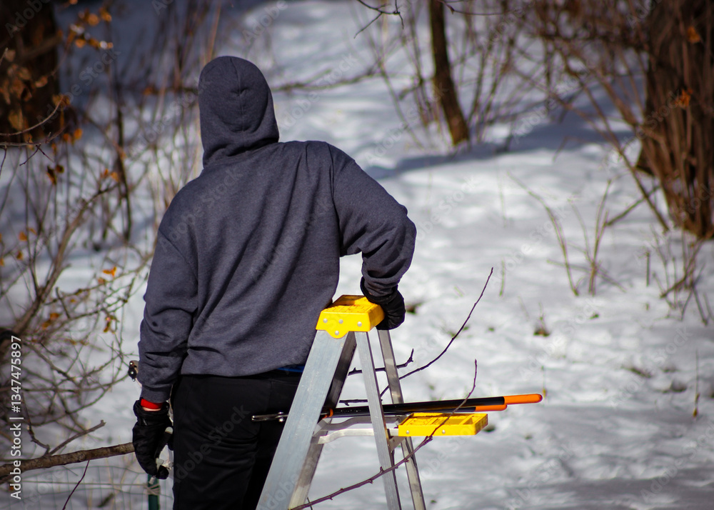 Ταπετσαρία a man on a ladder with his back to the camera looking at trees in winter