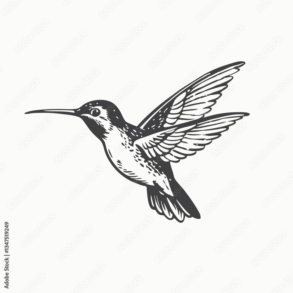 Hummingbird silhouette vector. black Hummingbird hate logo in a white background Hummingbird silhouette vector. black Hummingbird hate logo in a white background