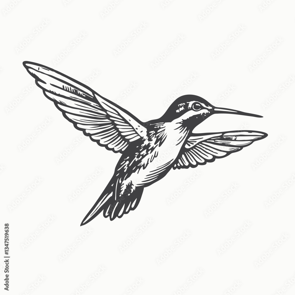 Obraz premium Flying Hummingbird silhouette isolated on white background. Hummingbird shadow. Vector illustration