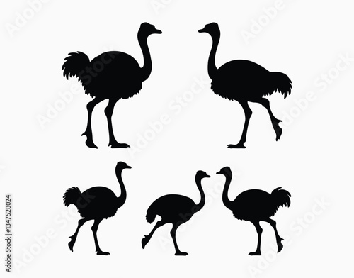 Beautiful Ostrich Silhouette Collection on a White Background