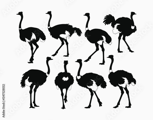 Black Ostrich Silhouette EPS Vector Template Illustration