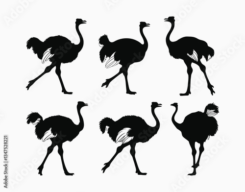 Elegant Ostrich Silhouette Collection EPS Vector Template