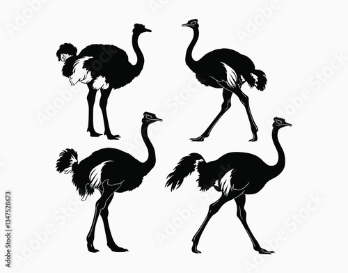 Isolated Ostrich Silhouette Collection EPS Vector Template Illustration