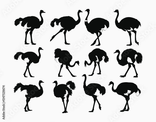 Isolated Ostrich Silhouette Collection EPS Vector Template