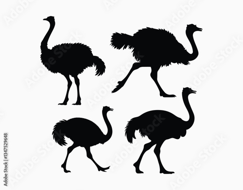 Ostrich Silhouette Vector Template on a White Background