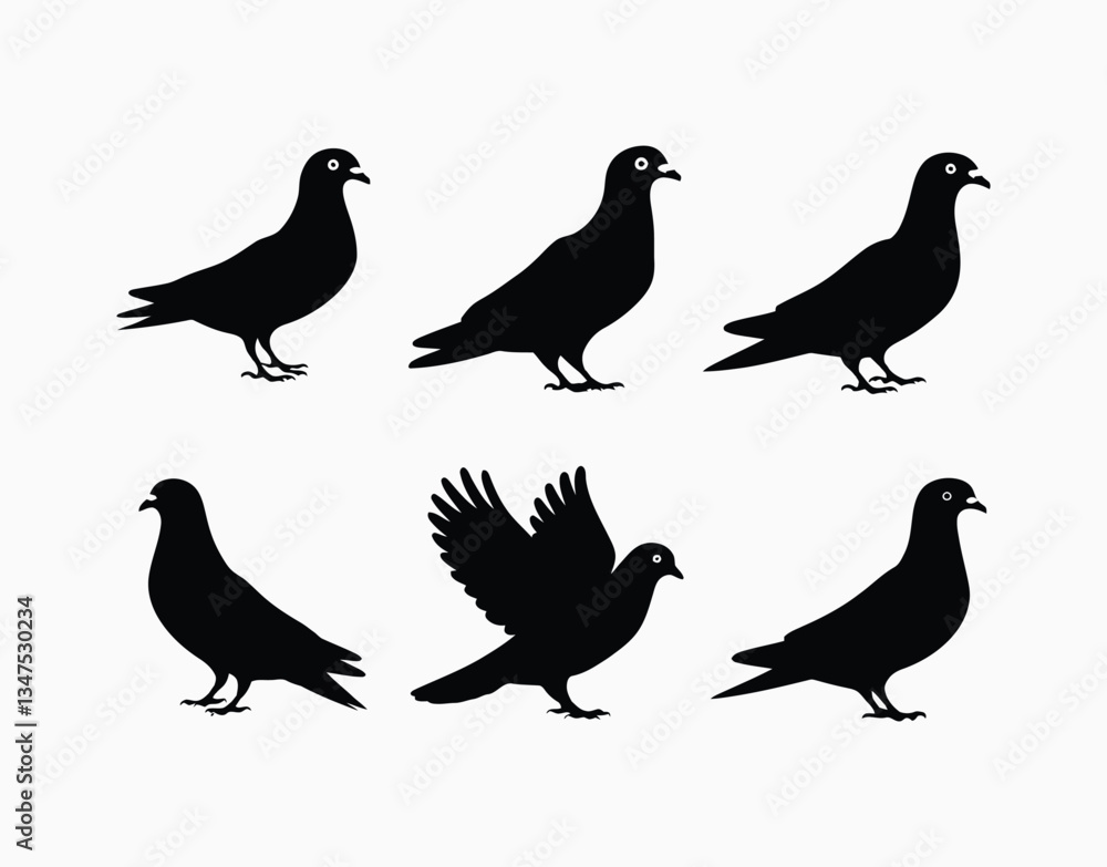 Elegant Pigeon Silhouette EPS Vector Template Illustration Elegant Pigeon Silhouette EPS Vector Template Illustration